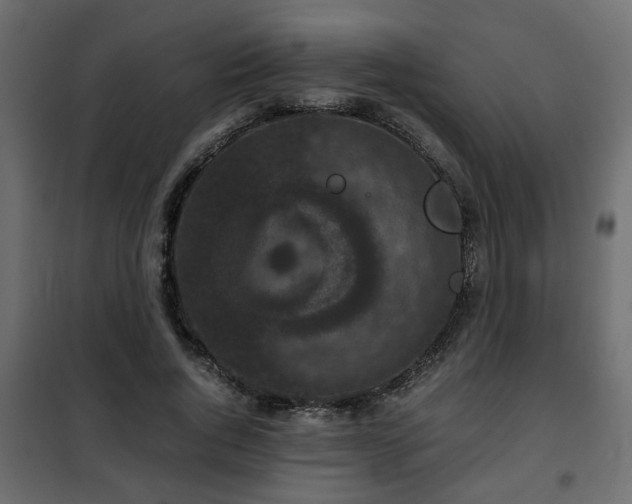 X0000102340736200808081130