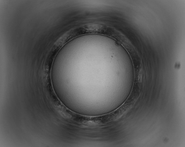 X0000102340737200808081130