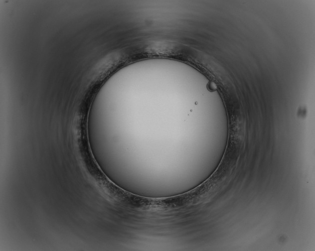 X0000102340738200808081130