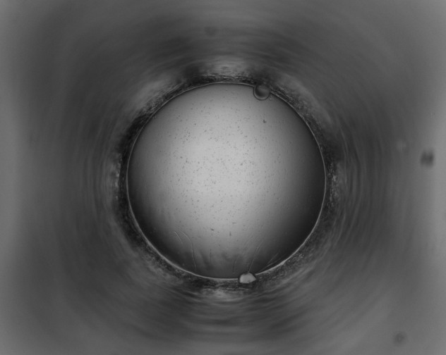 X0000102340739200808081130