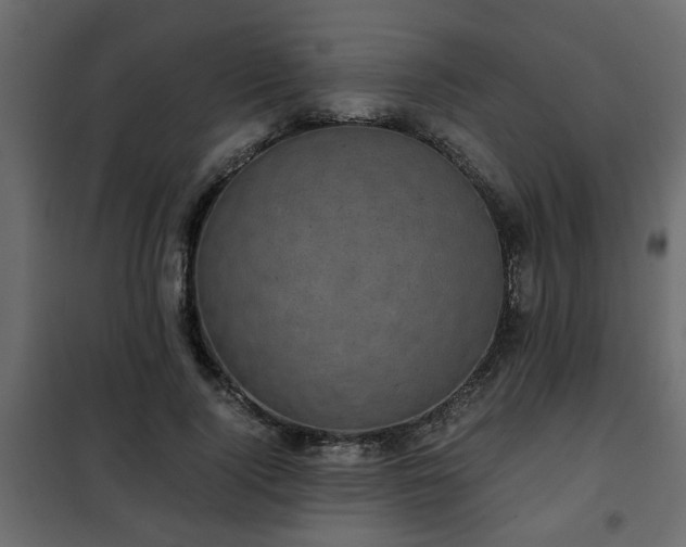 X0000102340740200808081130