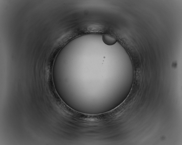 X0000102340741200808081130