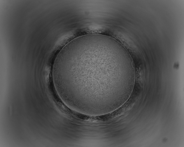 X0000102340742200808081130