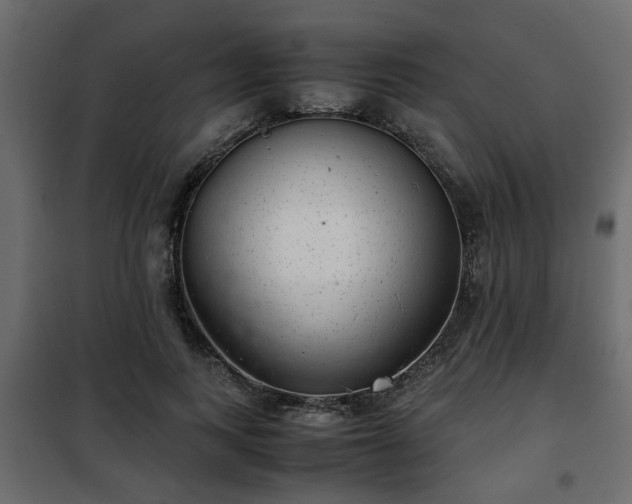 X0000102340743200808081130