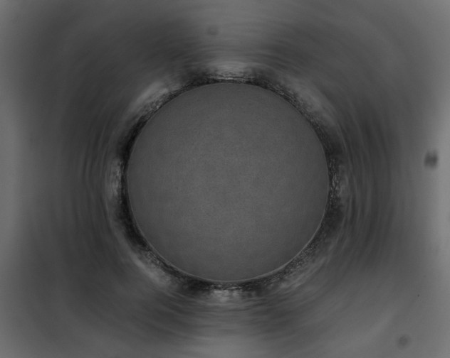 X0000102340744200808081130