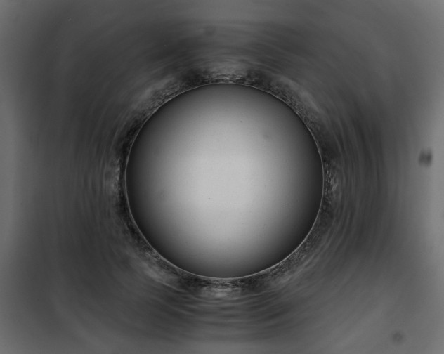 X0000102340745200808081130