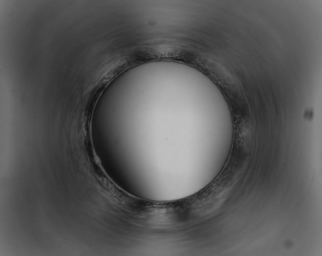 X0000102340746200808081130