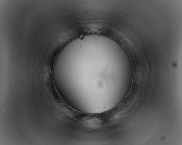 X0000102340747200808081130