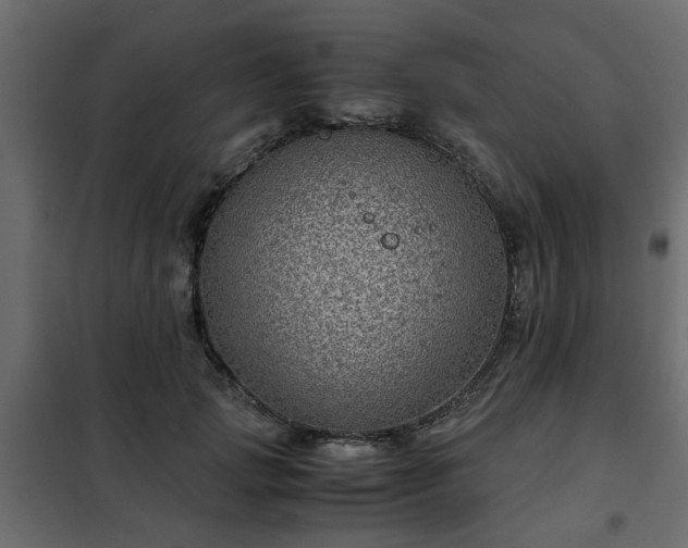 X0000102340749200808081130