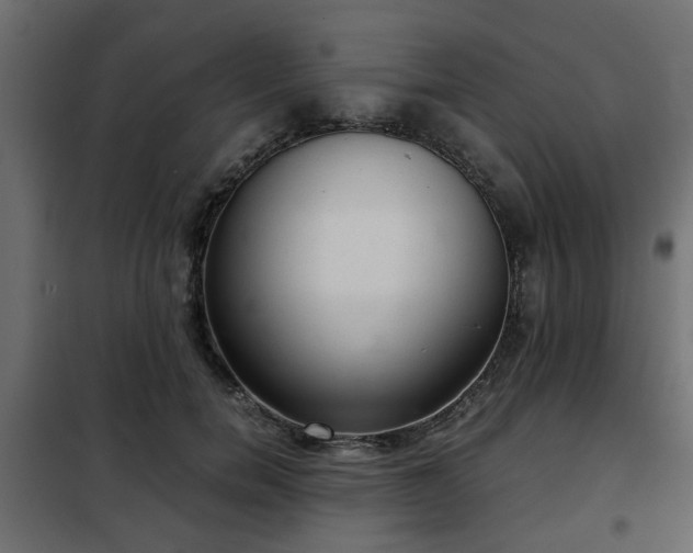 X0000102340750200808081130