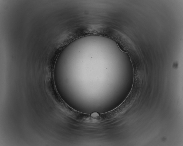 X0000102340751200808081130