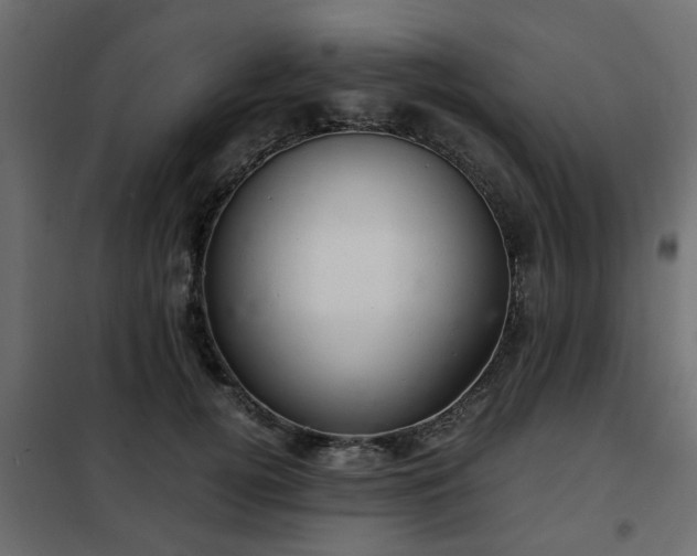 X0000102340752200808081130