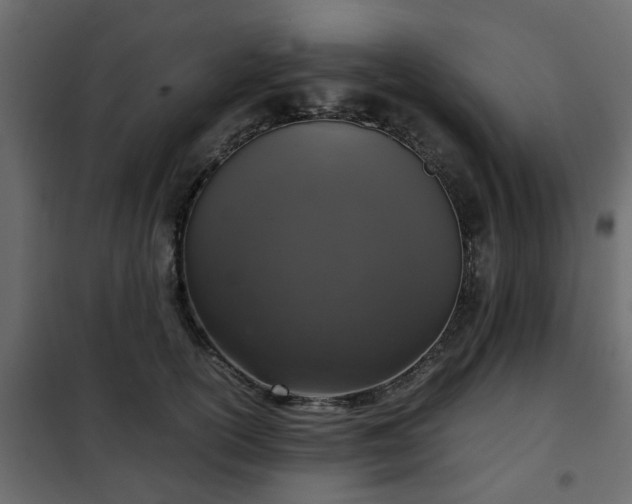 X0000102340754200808081130