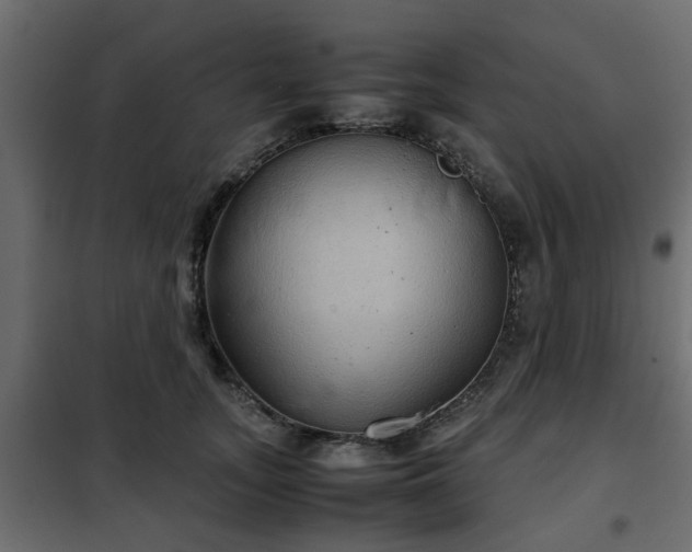 X0000102340755200808081130