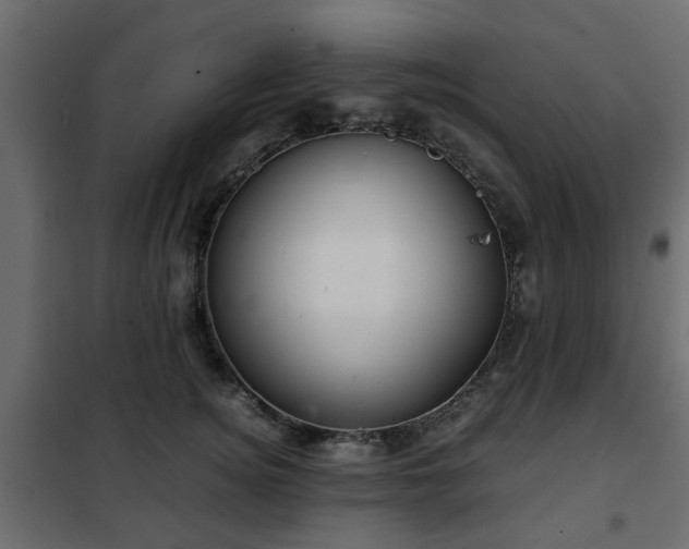 X0000102340756200808081130