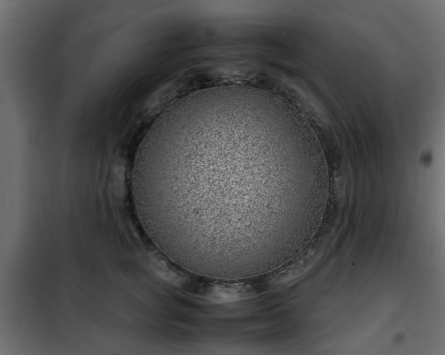 X0000102340757200808081130