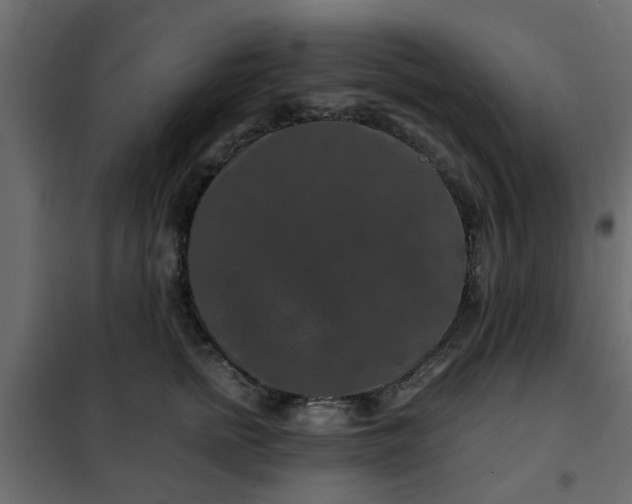 X0000102340758200808081130