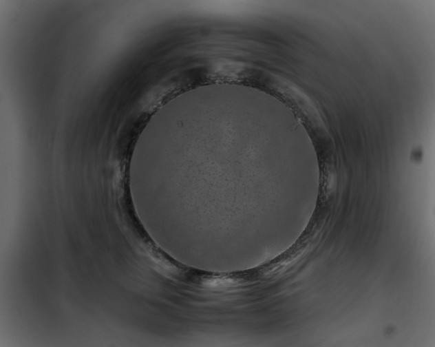 X0000102340759200808081130