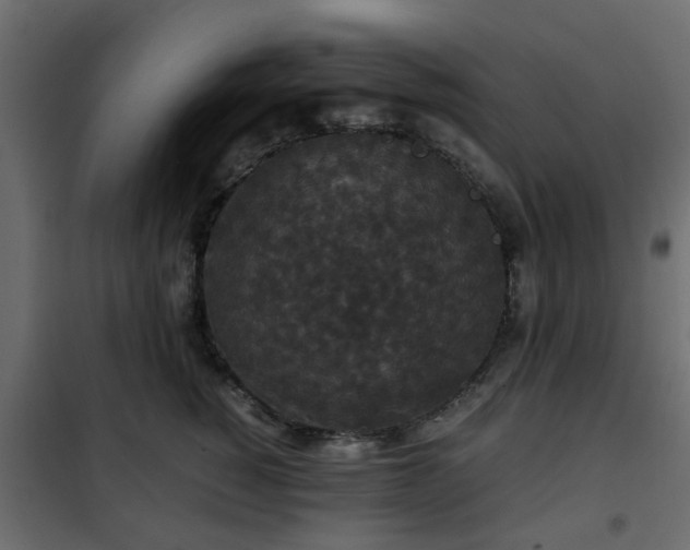 X0000102340760200808081130