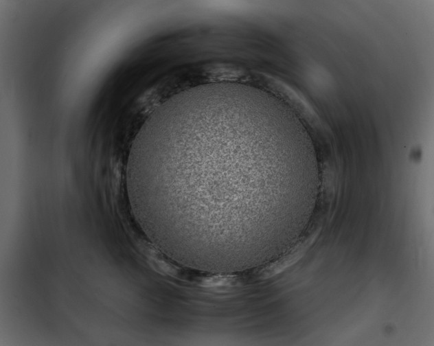 X0000102340761200808081130