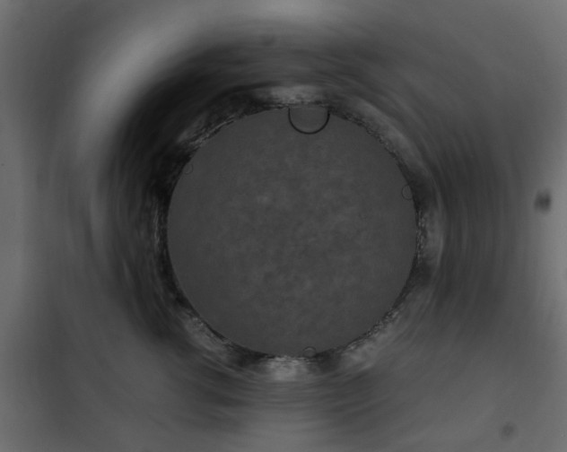 X0000102340762200808081131