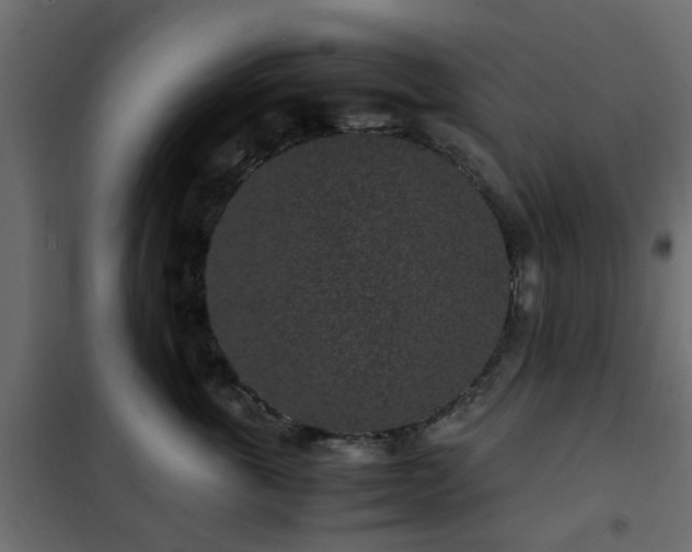 X0000102340763200808081131