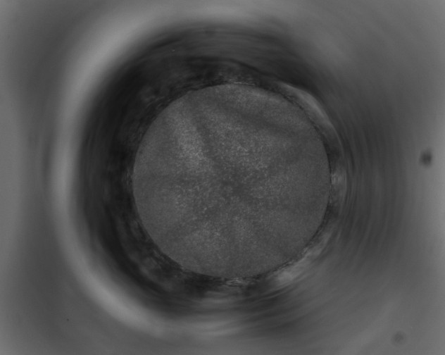 X0000102340765200808081131