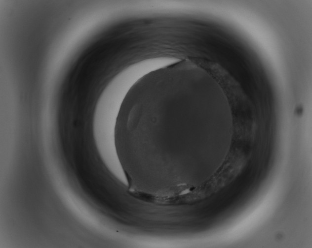 X0000102340766200808081131