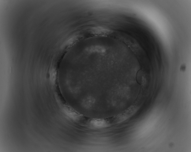 X0000102340767200808081131