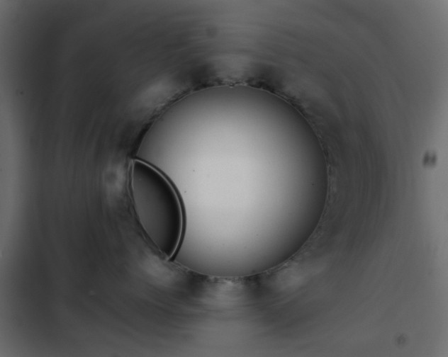 X0000102340768200808081131