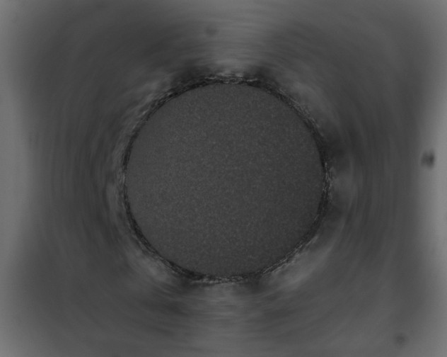 X0000102340769200808081130