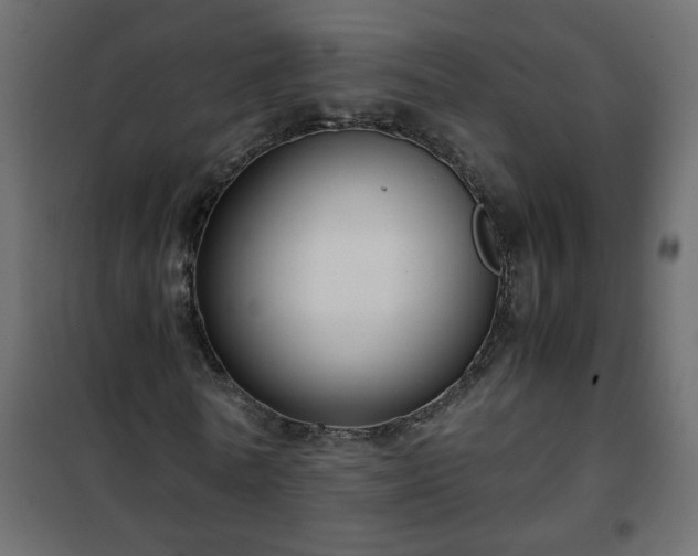 X0000102340770200808081130