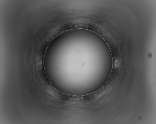 X0000102340771200808081130