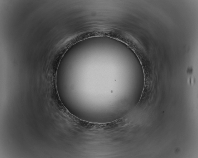 X0000102340773200808081130