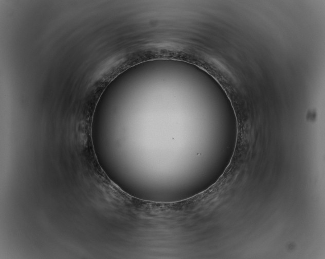 X0000102340774200808081130