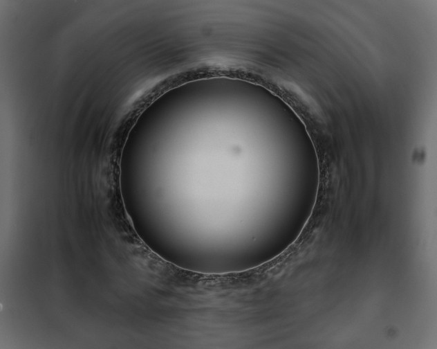 X0000102340776200808081130