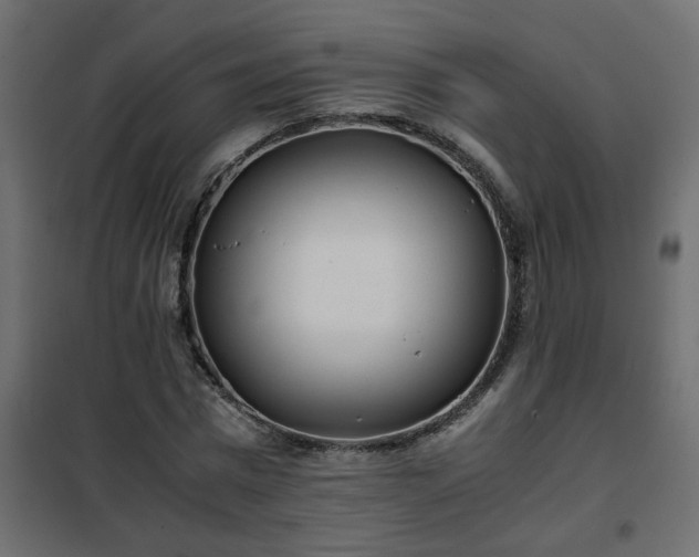 X0000102340777200808081130