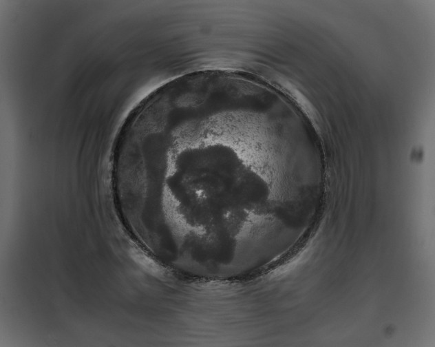 X0000102340779200808081130