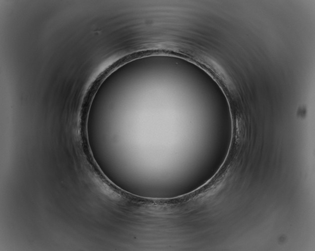 X0000102340780200808081130