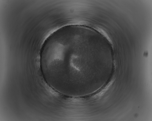 X0000102340781200808081130