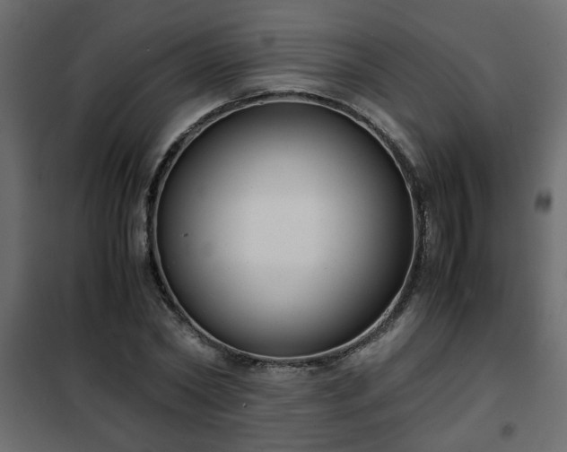 X0000102340782200808081130