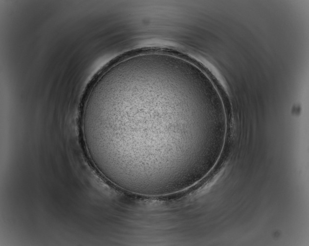 X0000102340783200808081130