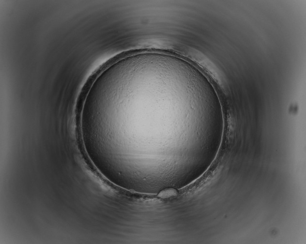 X0000102340784200808081130