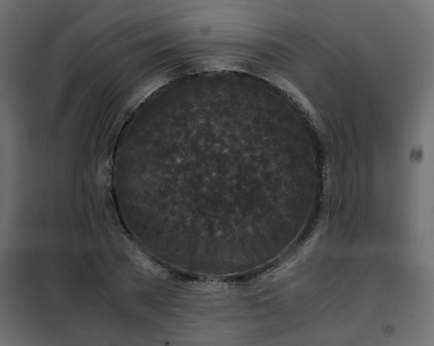 X0000102340785200808081130