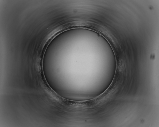 X0000102340786200808081130