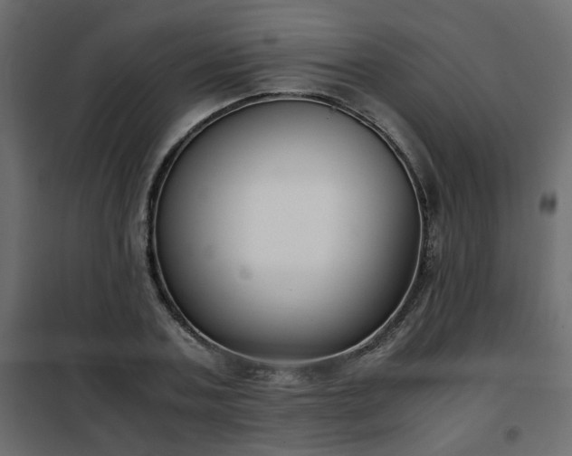 X0000102340787200808081130