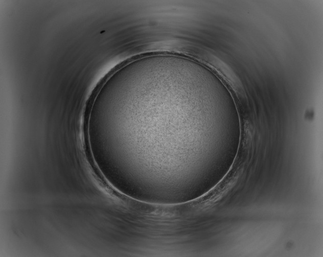 X0000102340788200808081130