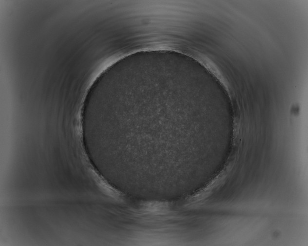 X0000102340789200808081130