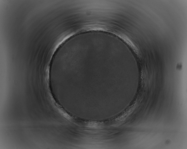 X0000102340790200808081130