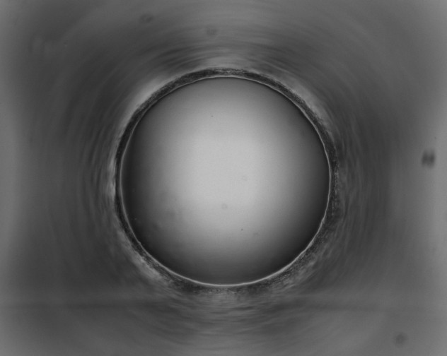 X0000102340791200808081130